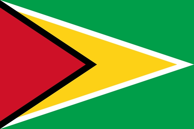 bandiera guyana