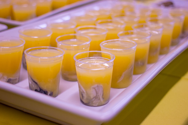 bar harbor and orlando