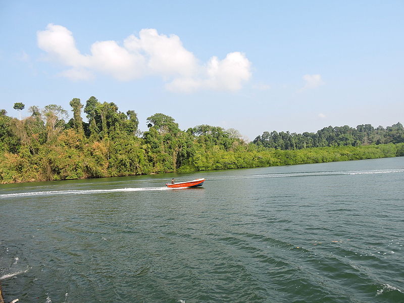 baratang island near middle strait entry point andaman islands india