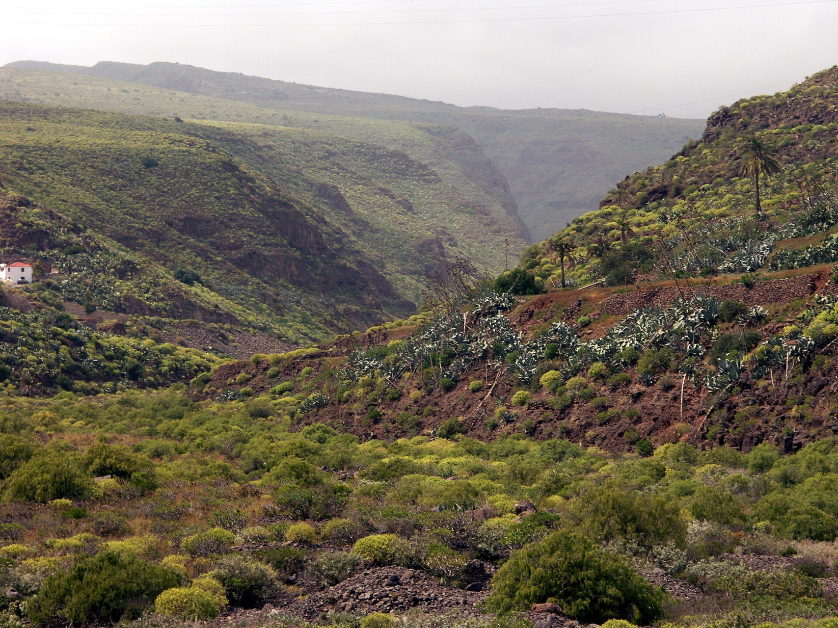 gran canaria guayadeque