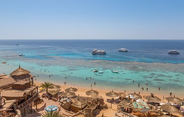 barriera corallina a sharm el sheikh