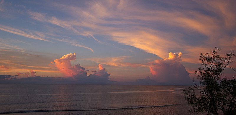 bathurst island tiwi island