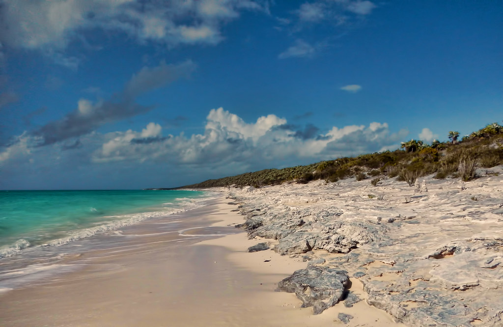 beach at alligator point on cat island