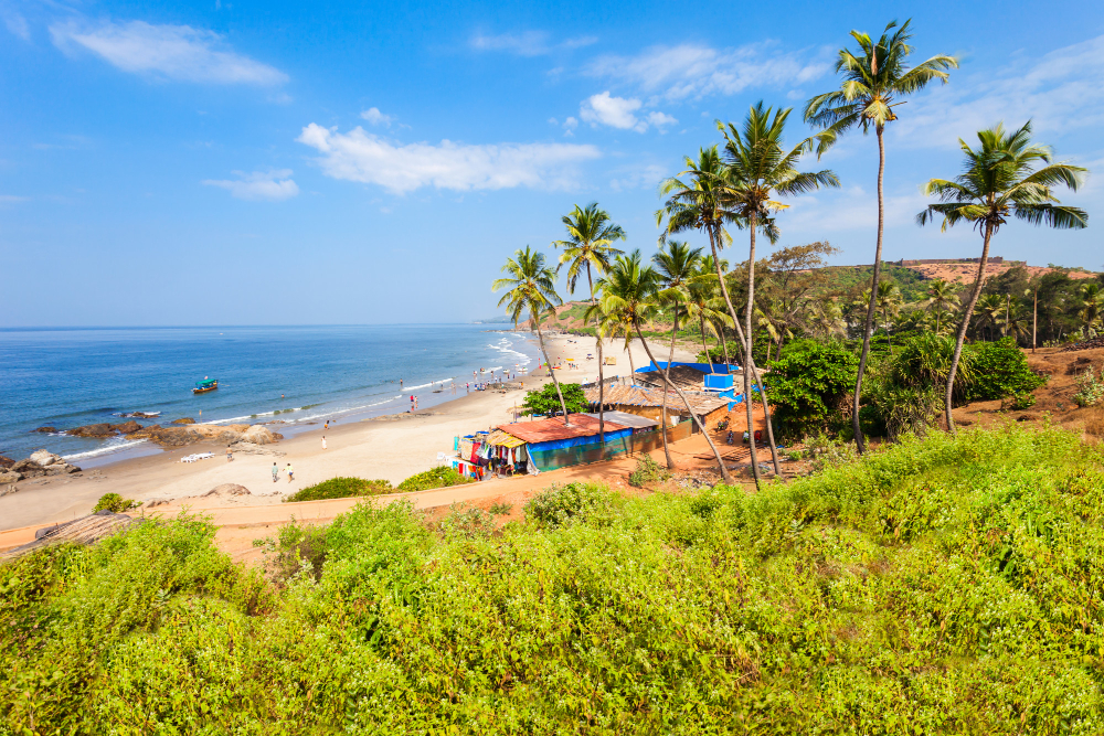 beach goa india