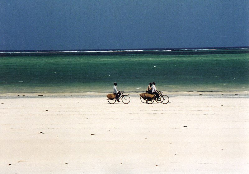 beach of malindi panoramio