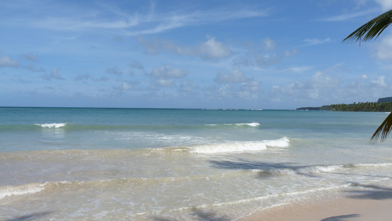 beach samana repubblica dominicana