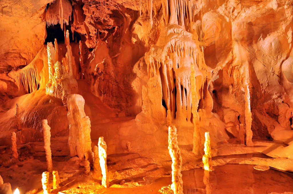 bears cave romanian peştera urşilor