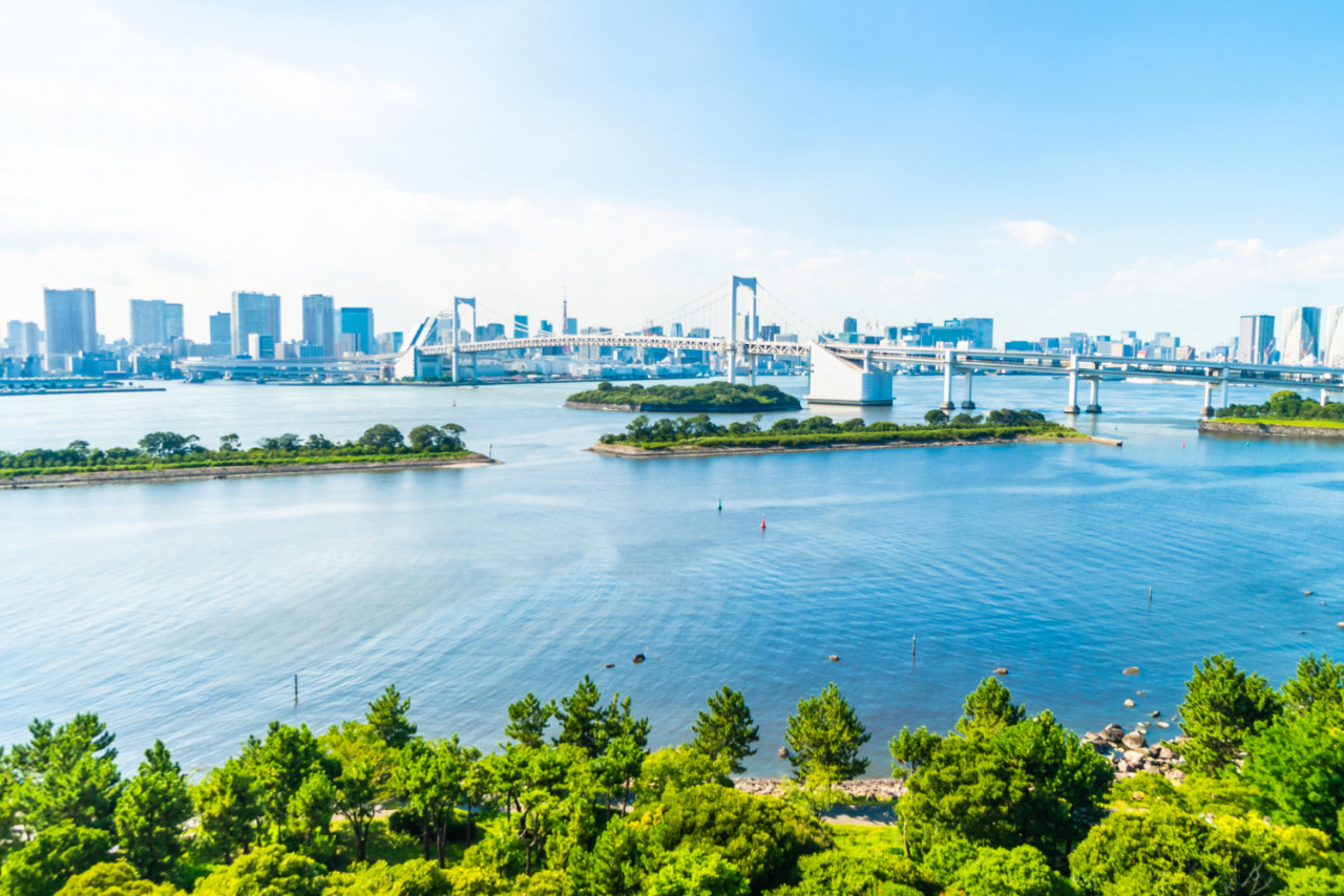 beautiful architecture building cityscape tokyo city with rainbow bridge