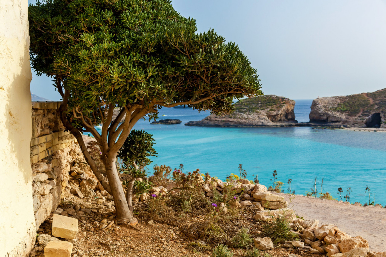 beautiful blue lagoon with turquoise clear water high rocky coast yellow limestone