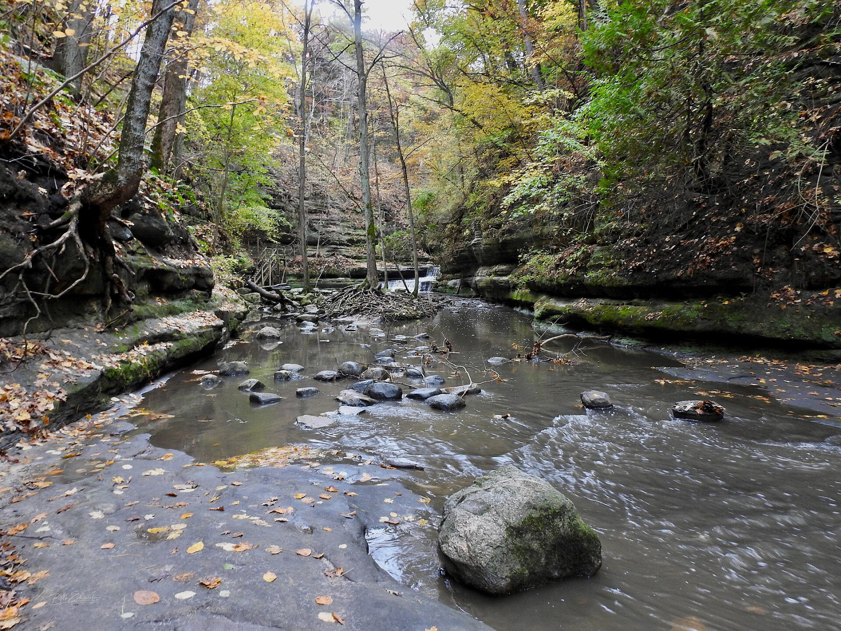 Formazioni rocciose particolari e ruscelli nel fondo del canyon del parco.