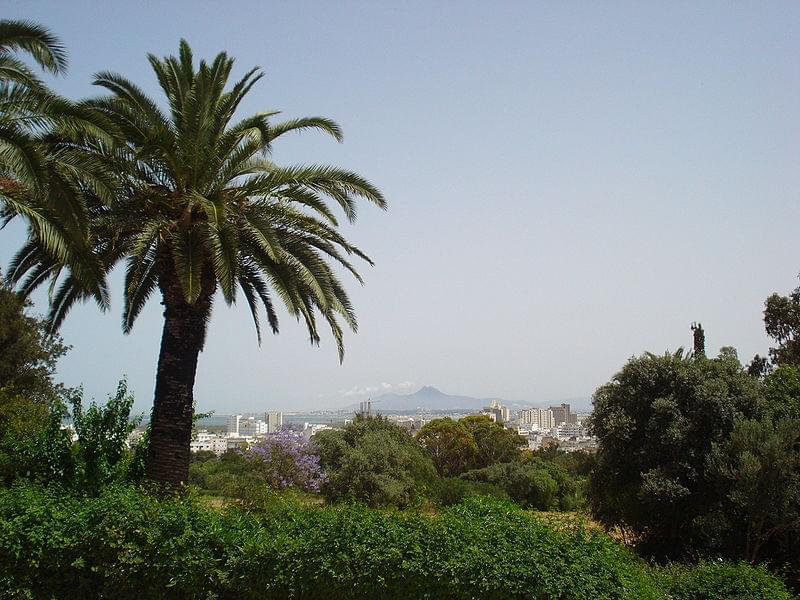 belvedere tunis