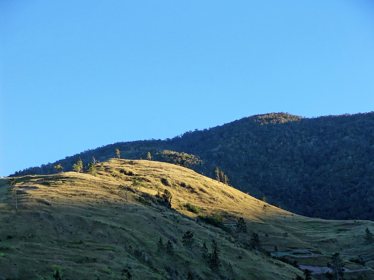 berge sonne jamaika blue mountains