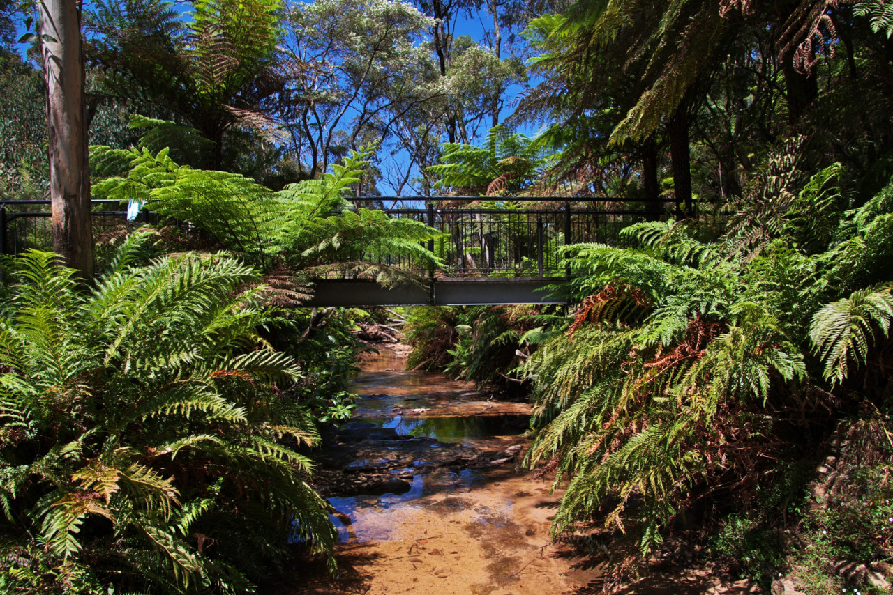 blue mountains national park australia