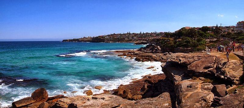 bondi coastal walk