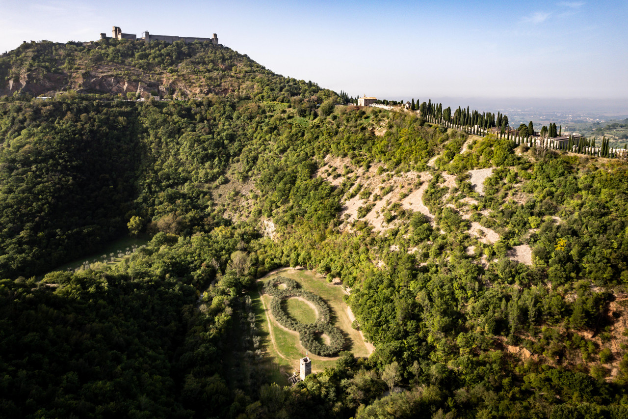 bosco san francesco