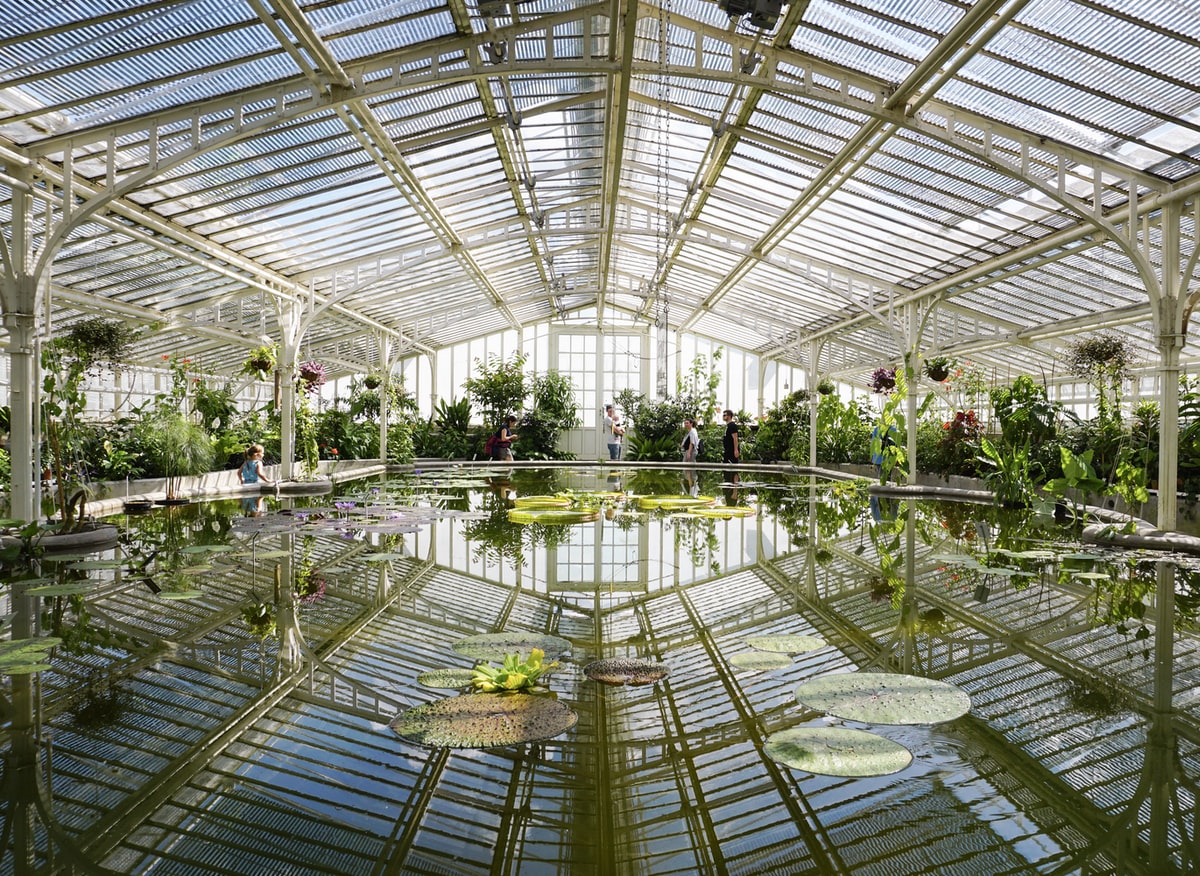 botanical garden in munich nymphenburg