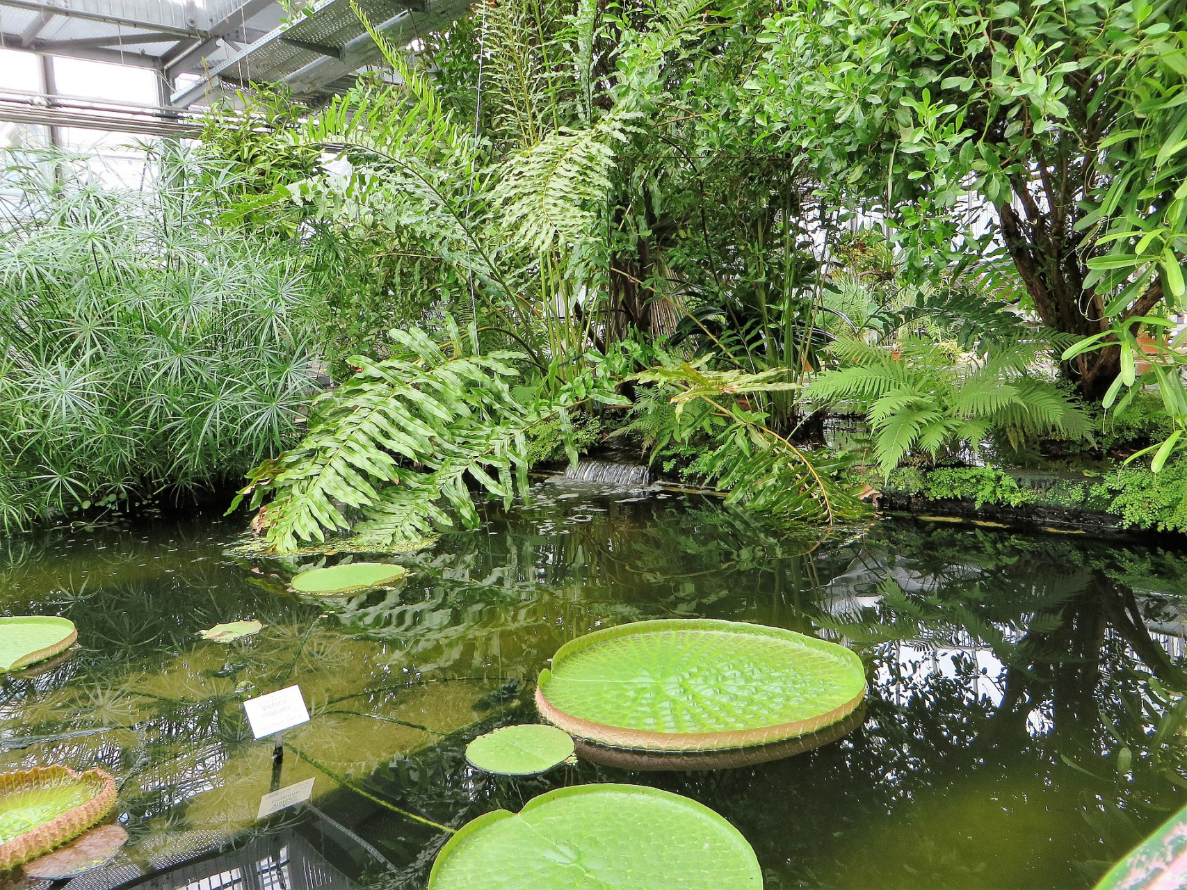 botanischer garten leipzig 6
