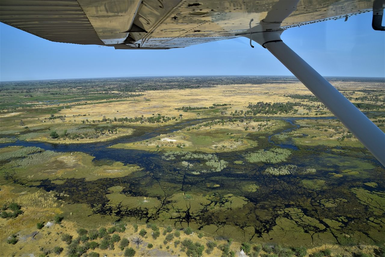 11 okavango delta