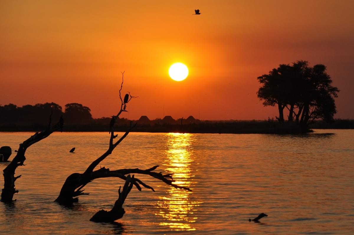 botswana tramonto chobe botswana 1