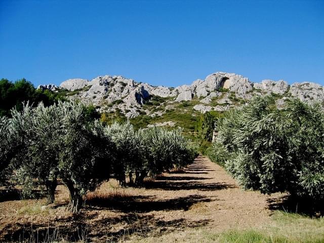 bouches du rhone les alpilles rochers