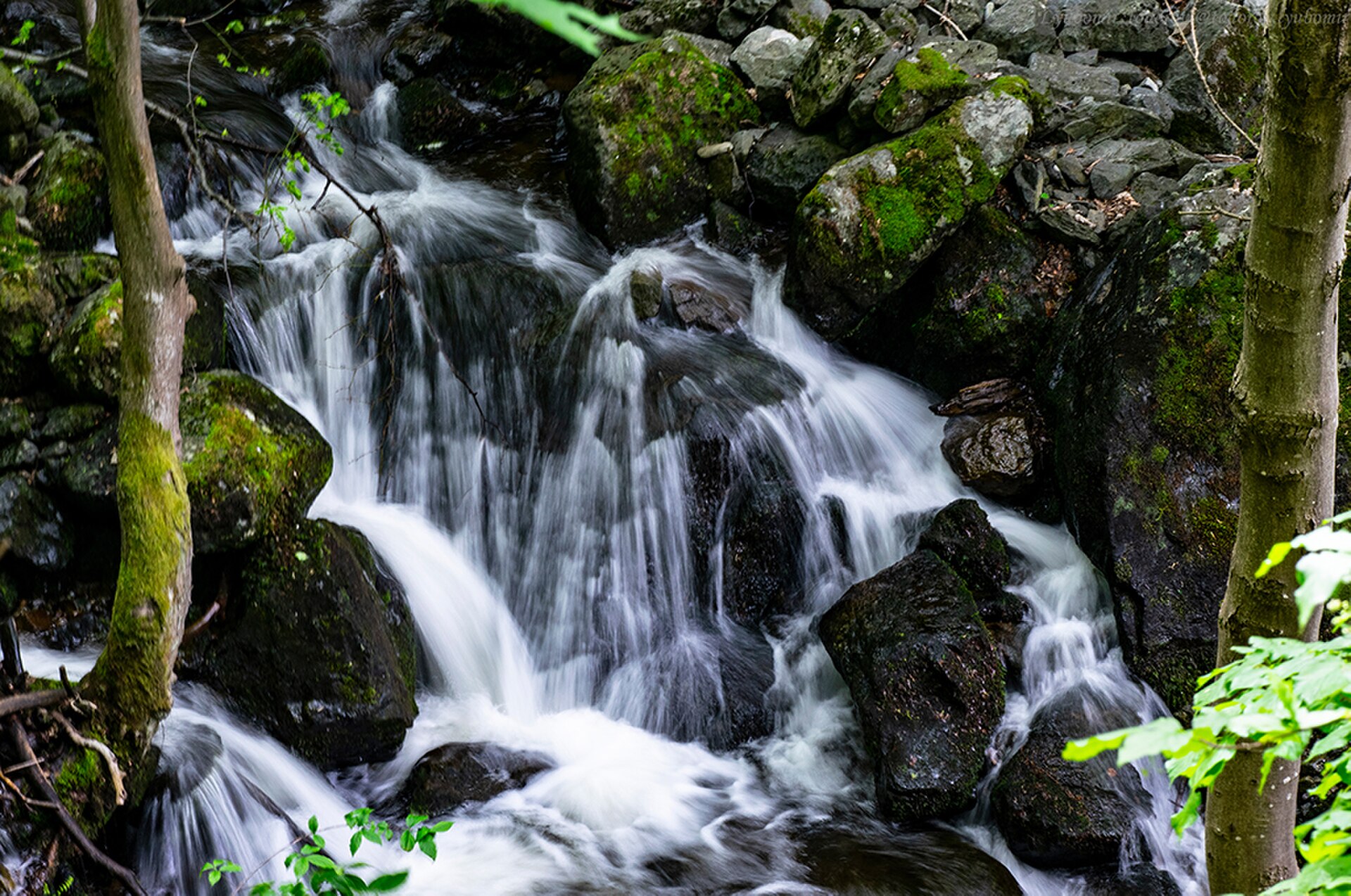 boyana river