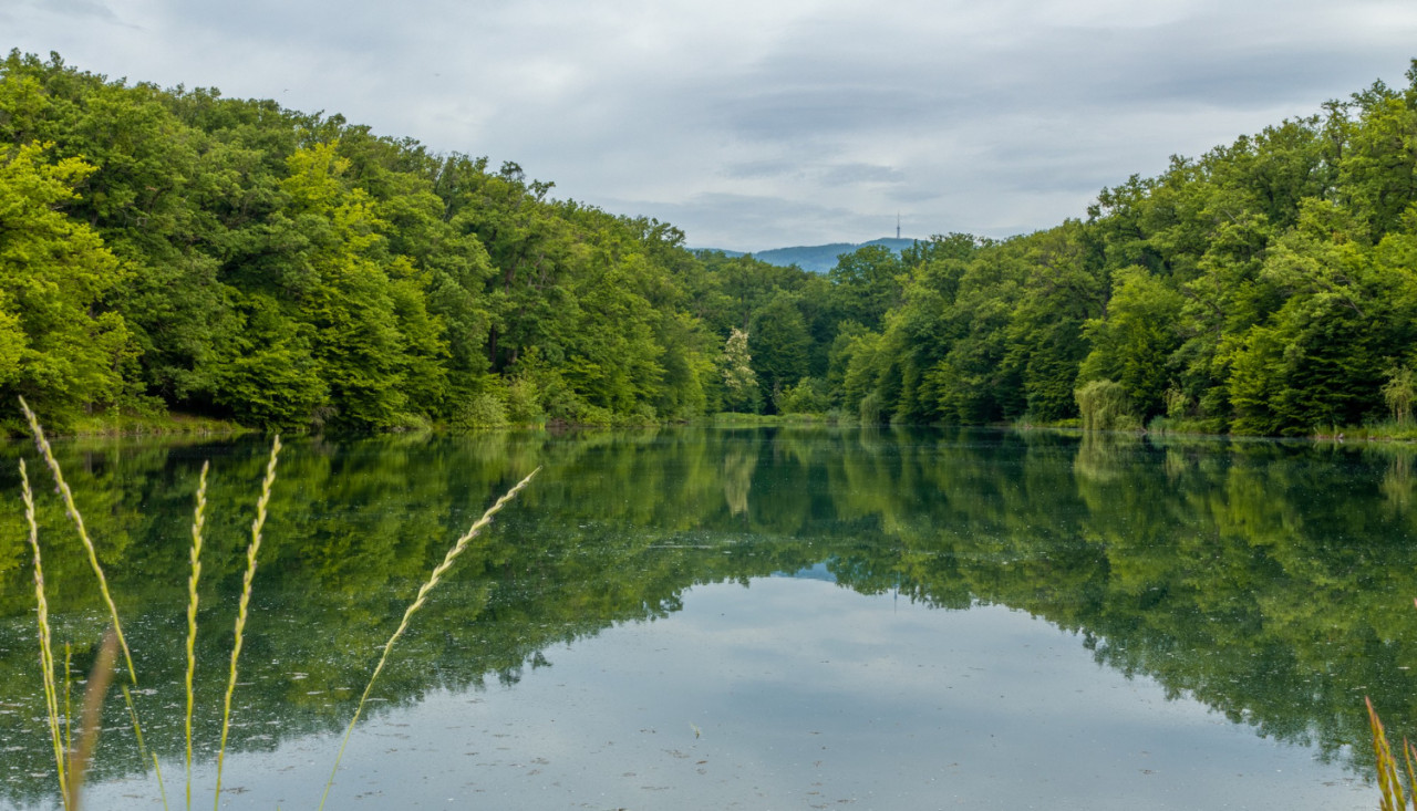 breathtaking scene beautiful nature its reflection water maksimir park zagreb 1