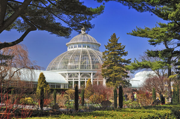 bronx botanical garden