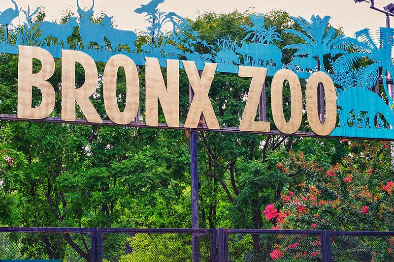 bronx zoo 1