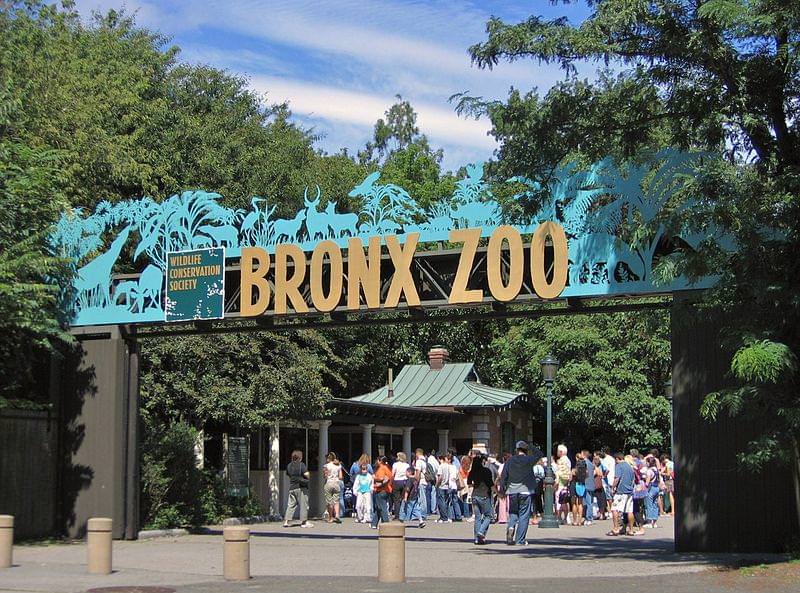 bronx zoo ingresso