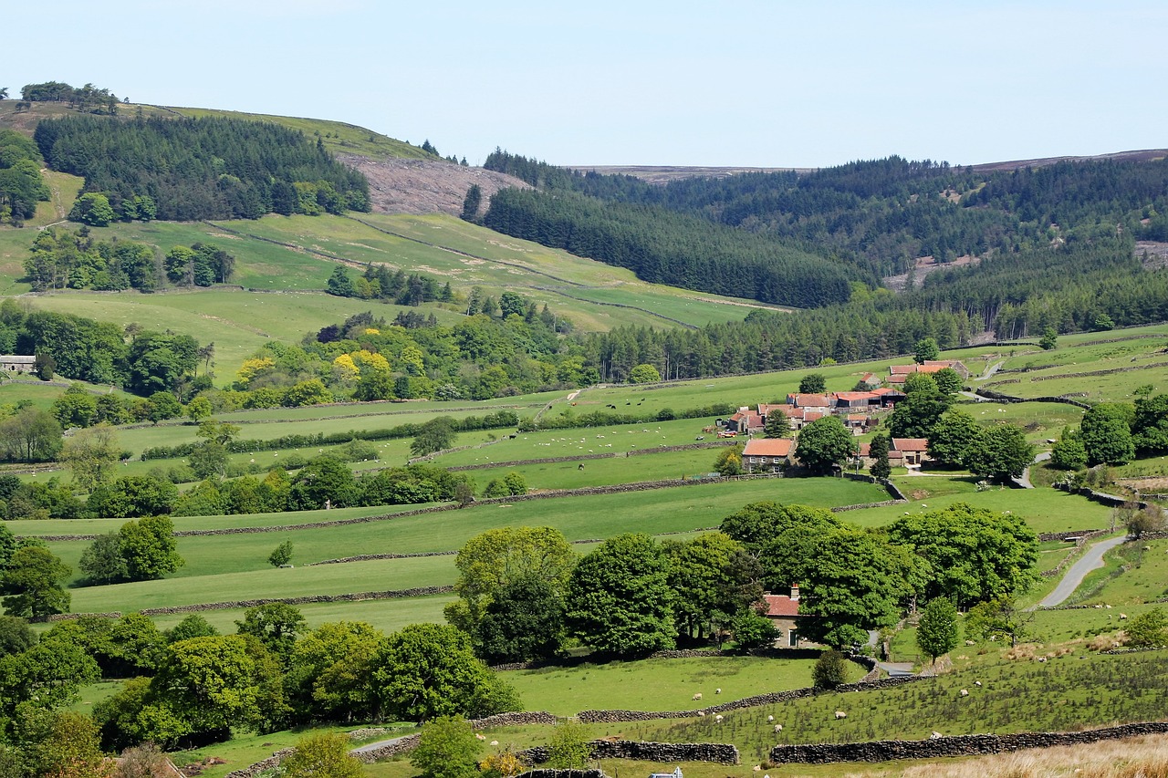 brughiere dello yorkshire dales