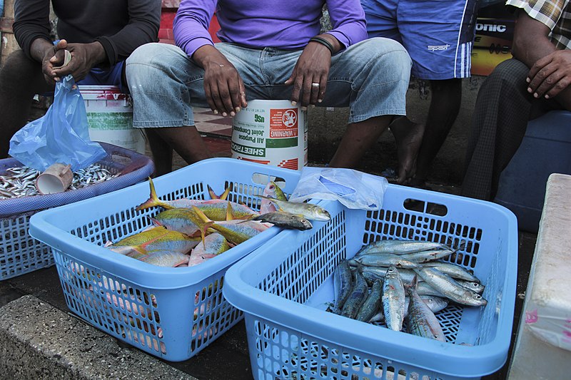buiobuione male fish market