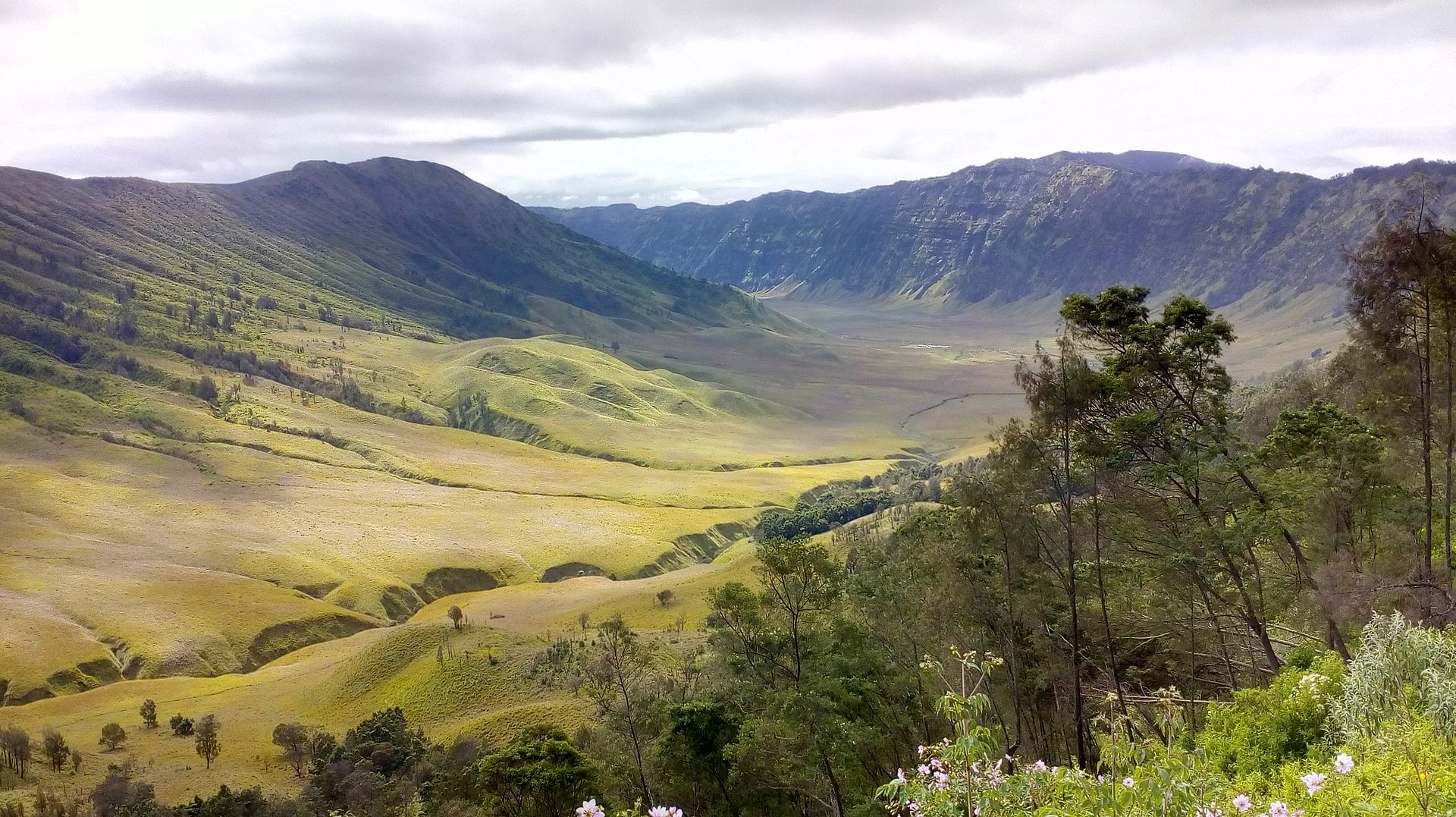 bukitteletubbiesbromo gunungbromo jawatimur