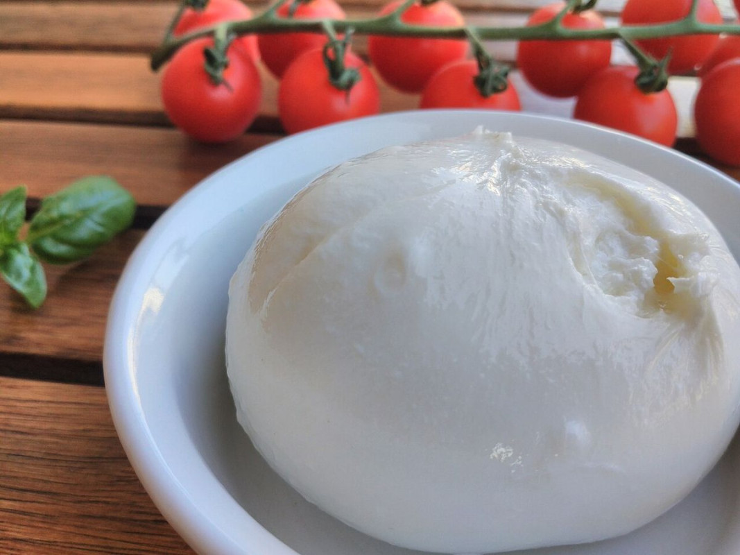 burrata barletta - foto di popo le chien