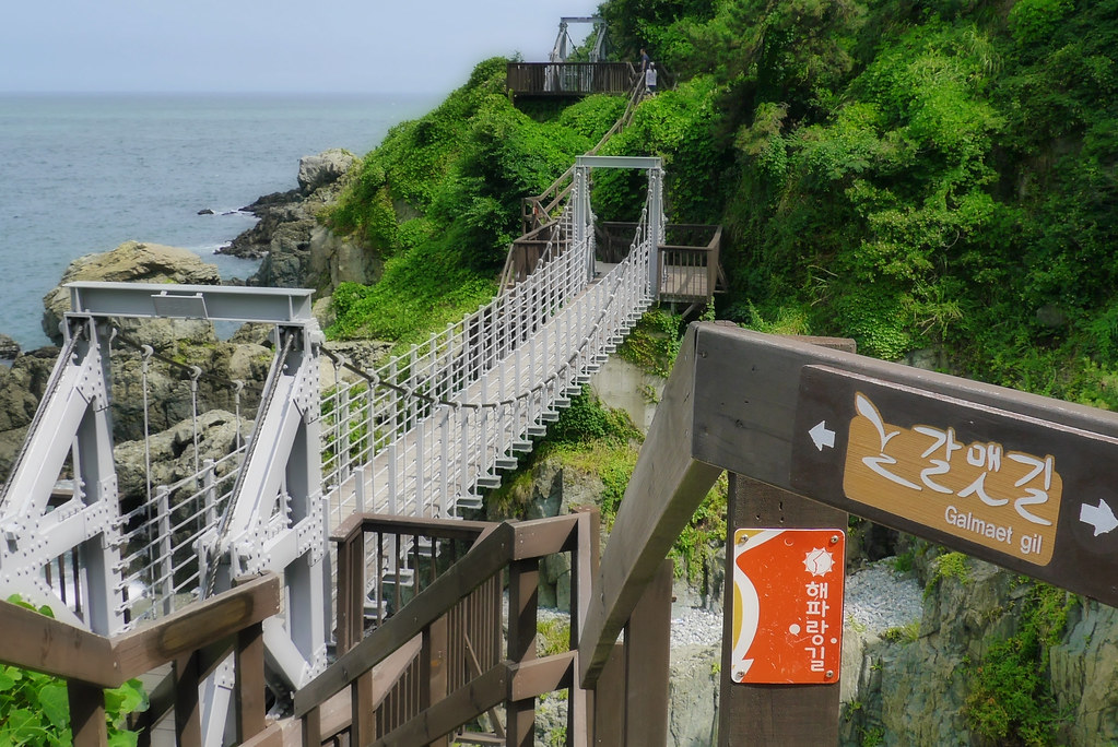 busan igidae coastal trail