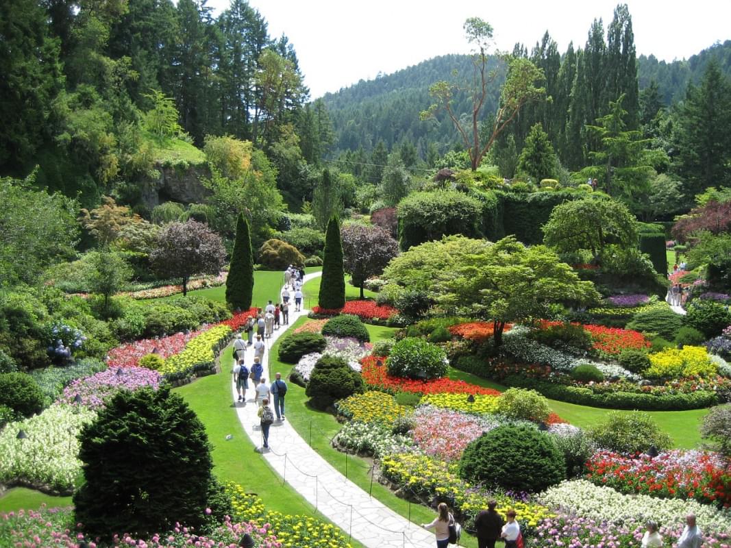 butchart gardens fiori piante