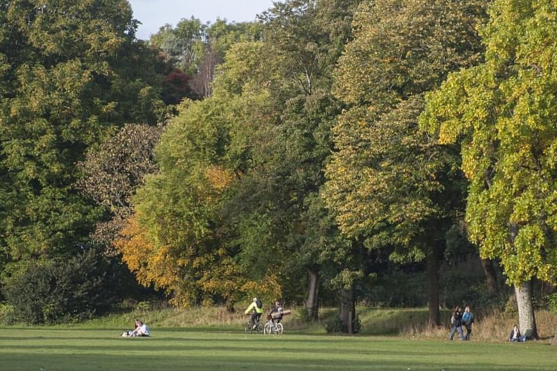 bute park cardiff