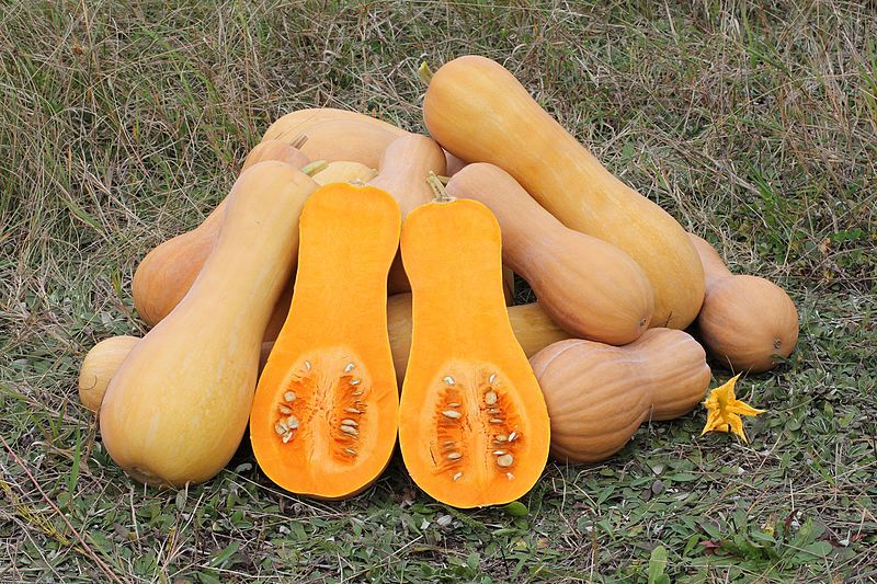 butternut