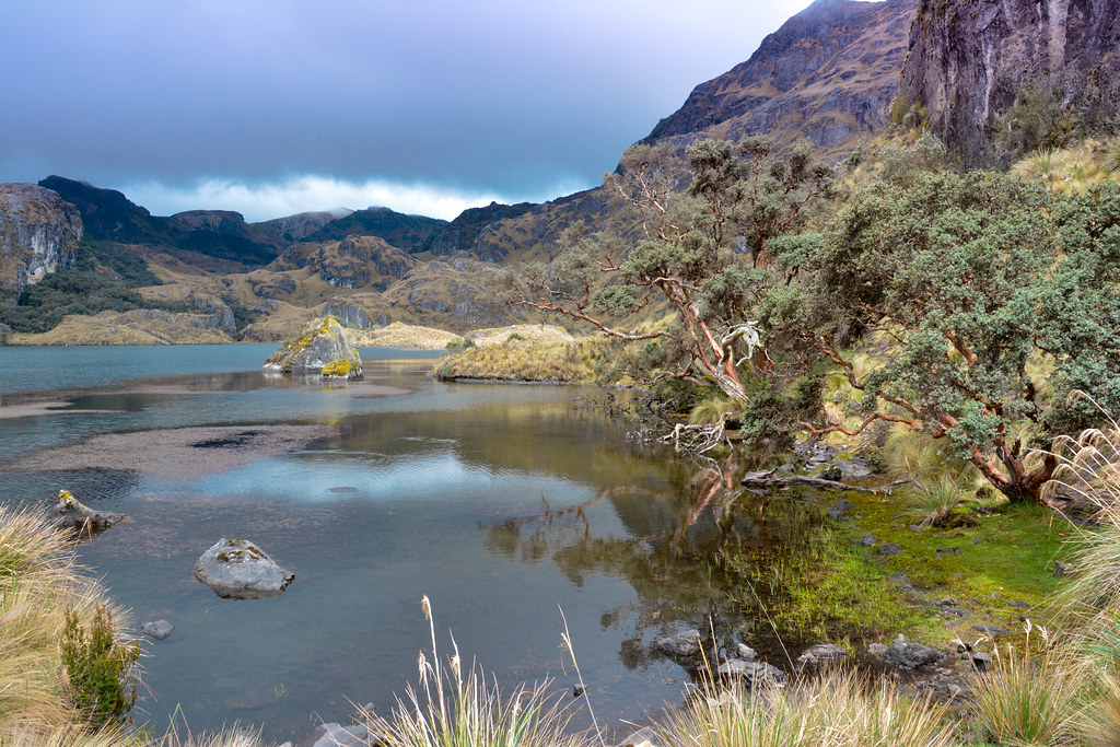 cajas national park