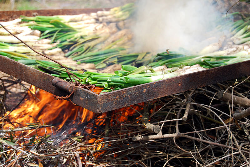 /foto/le calcots, grigliata di cipolle