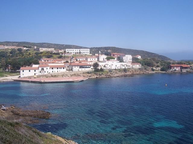 cala d oliva asinara