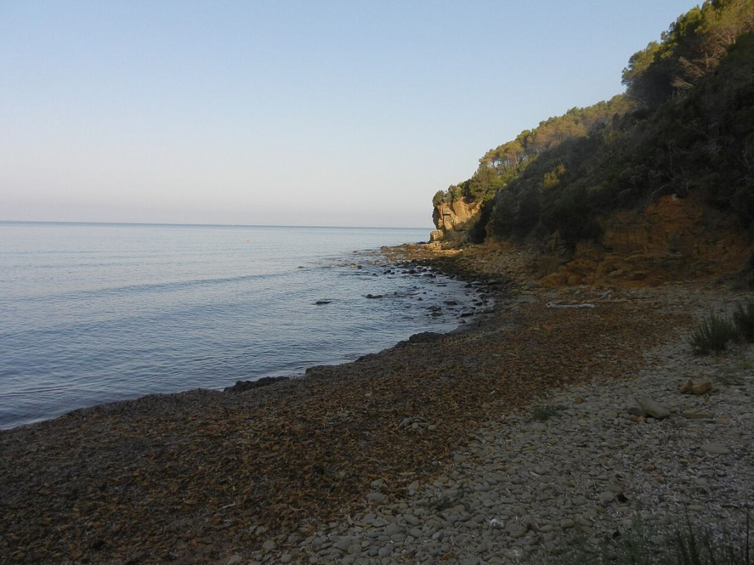 cala martina follonica - foto di alessandro gigliotti