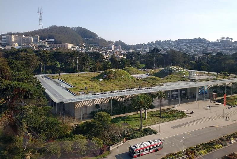 california academy of sciences