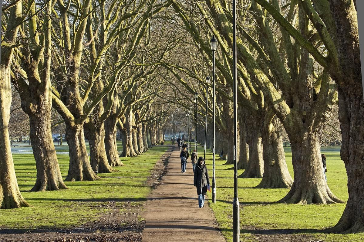 cambridge inghilterra park inverno