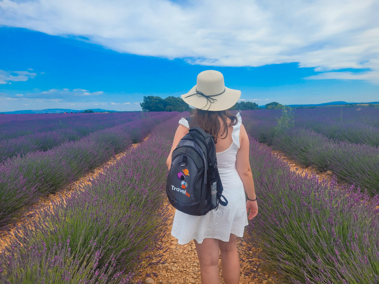 campi di lavanda