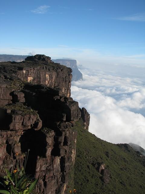 canaima