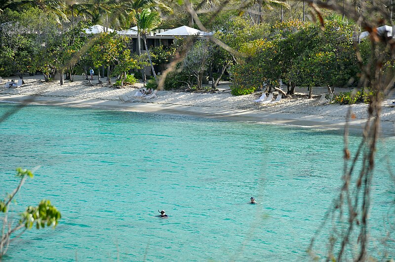 caneel bay hawksnest bay snorkeling 2