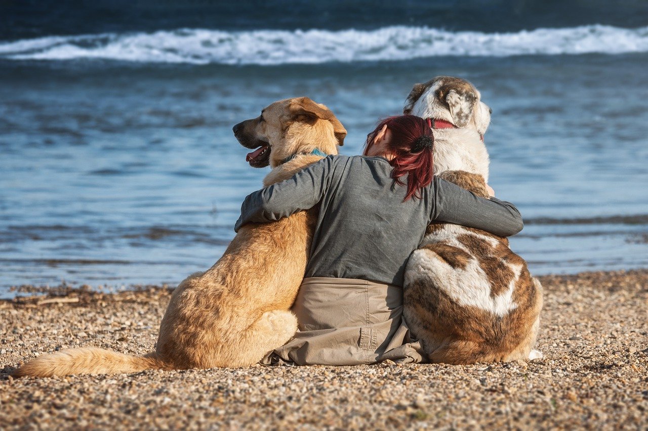 Cani Amici Trust Spiaggia Amicizia