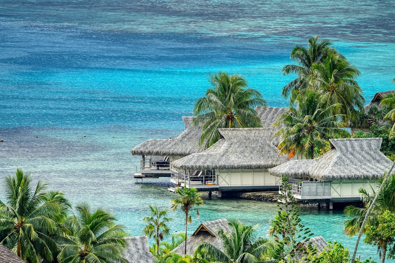 capanne mare moorea palme laguna