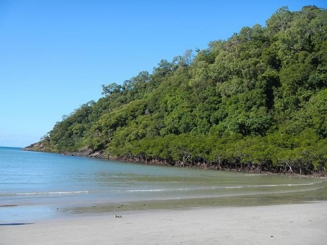 cape tribulation queensland australia