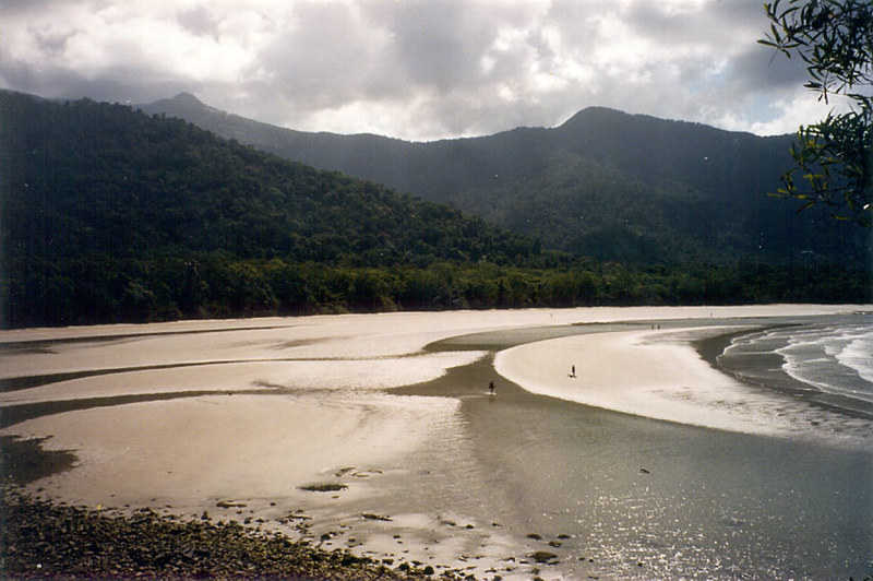 cape tribulation queensland